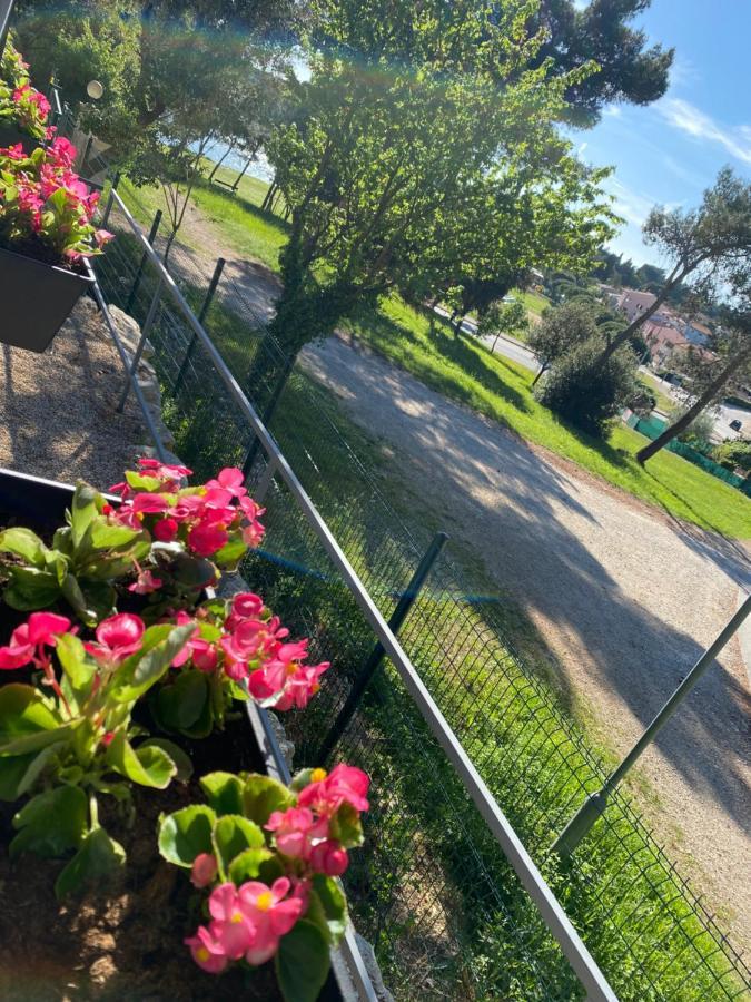 Mobile Home Biondina Camp Porton Nature Hideouts Rovinj Exterior foto